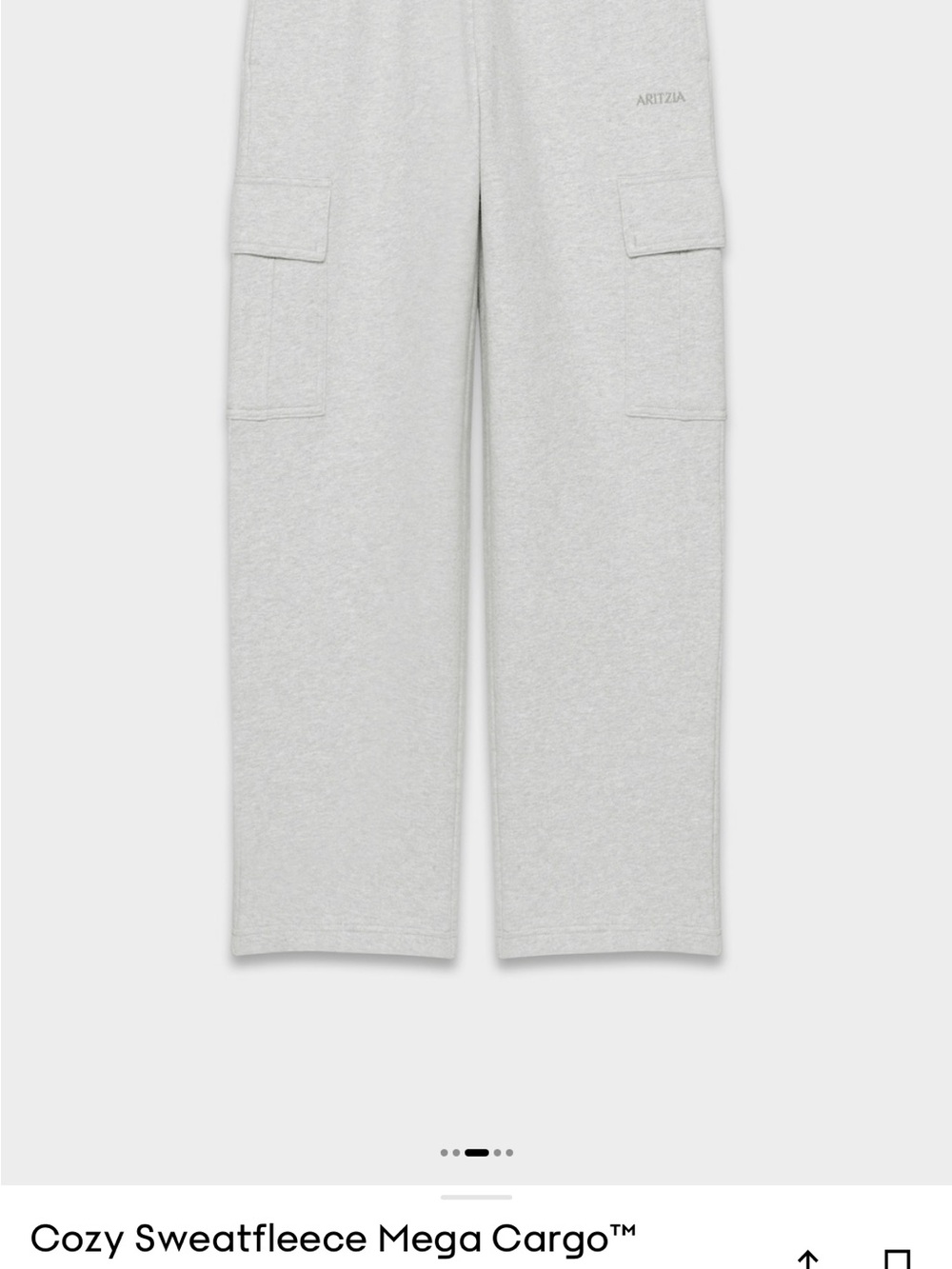 Aritzia Cozy Sweatfleece Mega Cargo Pants in heather chrome NEVET WORN